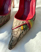 PHOEBE - Dior Pumps Rasta by John Galliano Collezione 2004