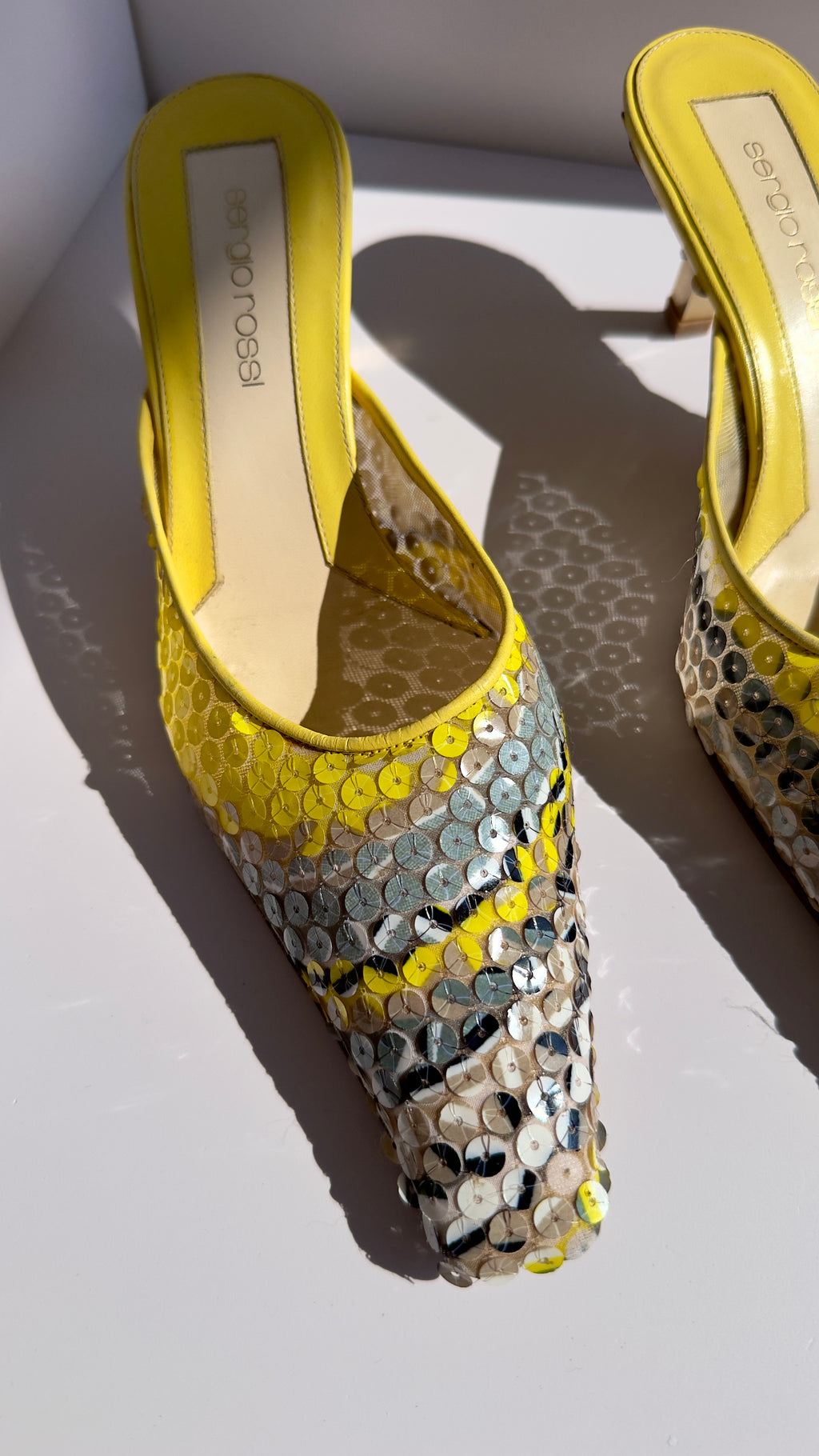Sergio Rossi Mules Vintage in Paillettes Multicolor